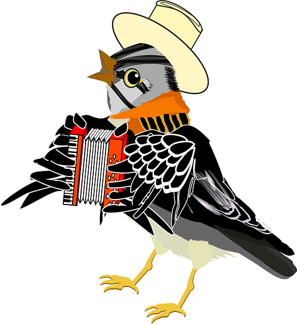 sparrow foto houvanjestem